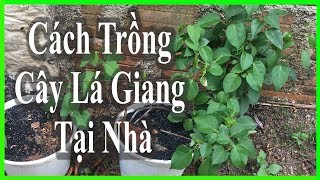 Cảnh sát biển Việt Nam