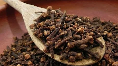11 природных антибиотиков, которые устраняют бактерии из вашего организма