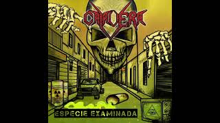 Calavera - Víbora tóxica