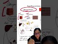 Hypothyroidism & Menstrual Irregularities Explained | Menorrhagia to Amenorrhea | Decoding Speroff