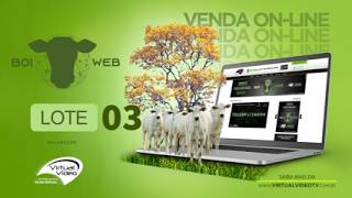 LOTE 03
