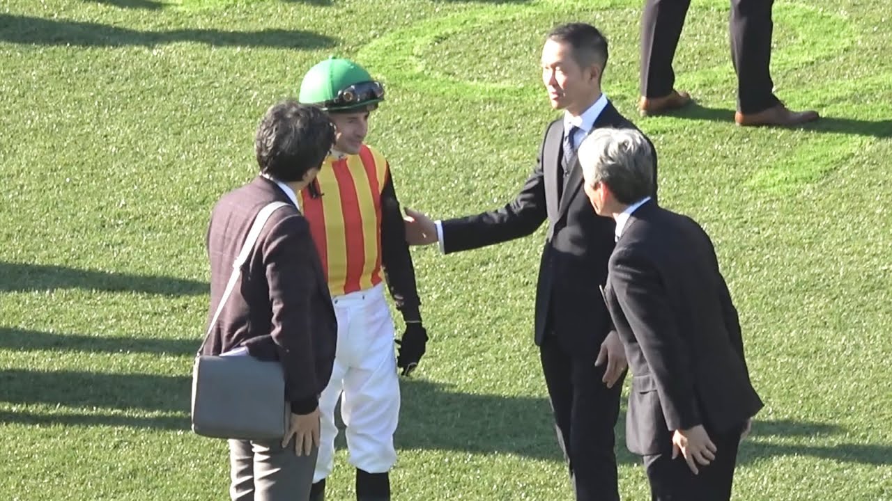 【現地 パドック各陣営の様子】2026 G1 フェブラリーステークス 【東京競馬場】