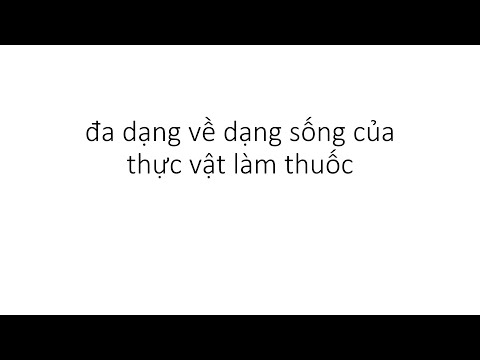 Video: Đấu kiếm tạm thời cho chó