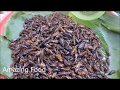 Thai-Laos Market , Asian Street Food 2018