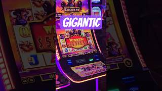 Jackpot Raksasa Di Mesin Slot Buffalo Ascension