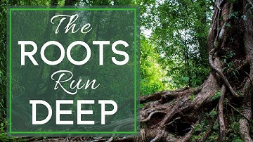 The Roots of Sin Run Deep! | How to STOP Sinning and DEFEAT Repeat Sins!