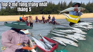 Download Lagu Top 2 mẻ rùng trúng nhất tháng 5 của ngư dân Quảng Nam MP3 Download Lagu Top 2 mẻ rùng trúng nhất tháng 5 của ngư dân Quảng Nam MP3