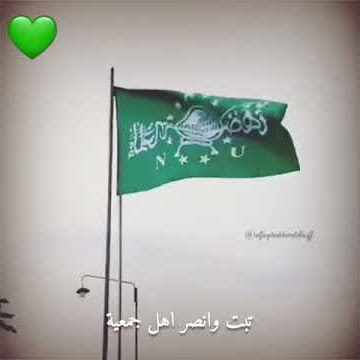 STORY WA 30 DETIK ULTAH NU '(NAHDLATUL ULAMA)' YANG KE 95💚💚