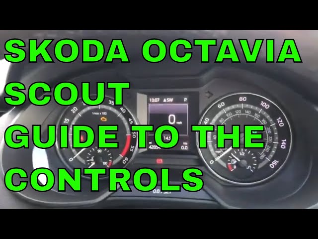 Skoda Scout egasining sharhlari