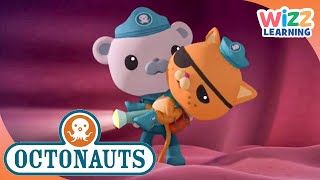 Whale Sharks and More | Octonauts | Wizz Learning