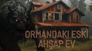 Ormandakı Eski Ahşap Ev. Eski Ahşap Evdeki Korkunç Yaratık Nedir? Bir Grubun Korkunç Olayları