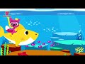 baby shark | بابي شارك | اجمل اغنية للاطفال