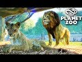 PLANET ZOO - CHEGOU UM LEÃO no ZOOLÓGICO!!!