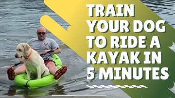 How to Kayak with My Puppy // My Dog