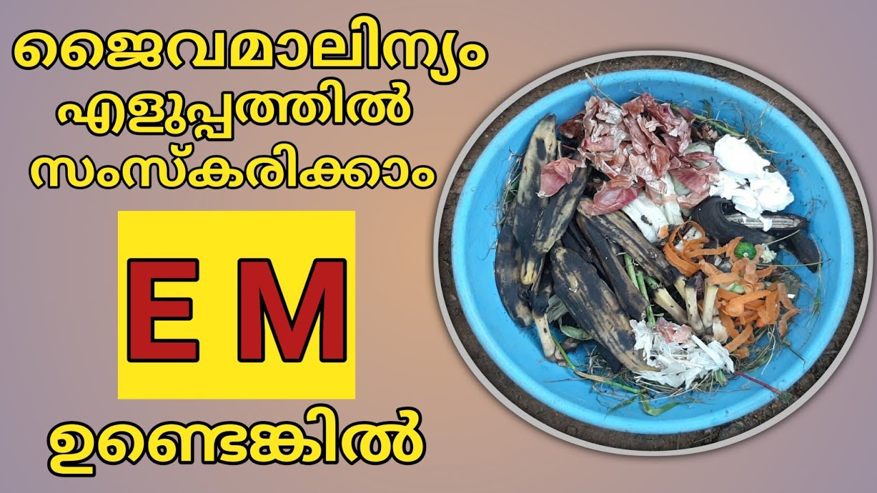 അടുക്കളമാലിന്യം എളുപ്പത്തിൽ സംസ്കരിക്കാം|EM-1 Solution|Bio-waste can be easily treated