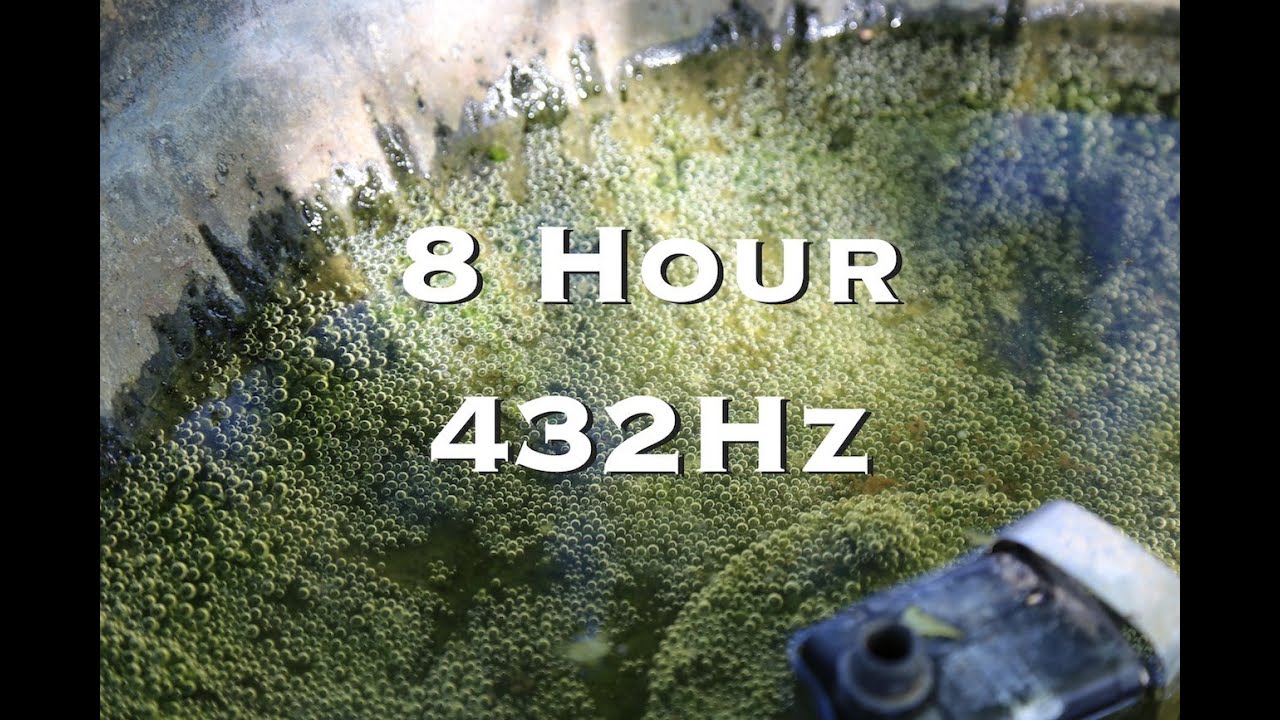 The 432hz God Note Why Fringe Audiophiles Want To Topple Standard Tuning