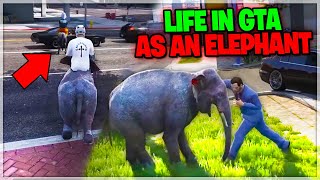 You Wont Believe What An Elephant Did In Gta 5 Rp