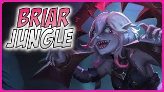 3 Minute Briar Guide  A Guide for League of Legends