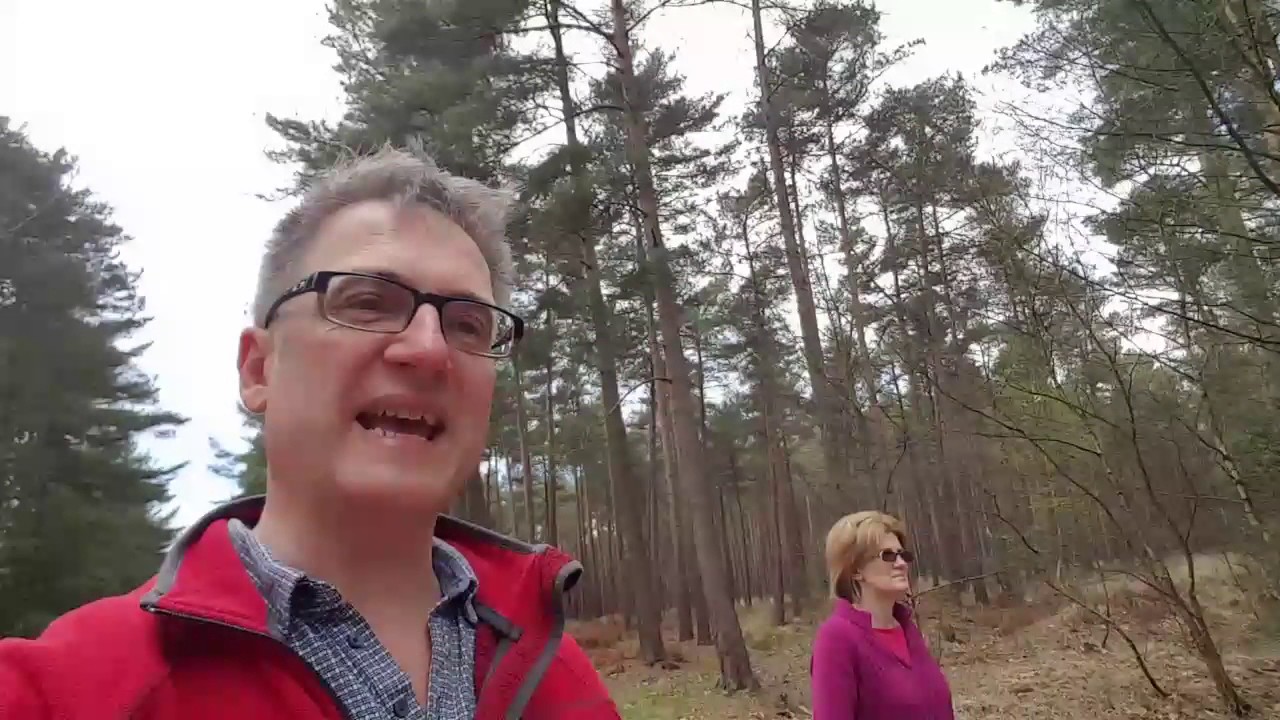 motorhome europa Live Stream at 4pm Announcement