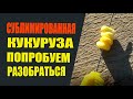 Сублимированная кукуруза. Попробуем разобраться.