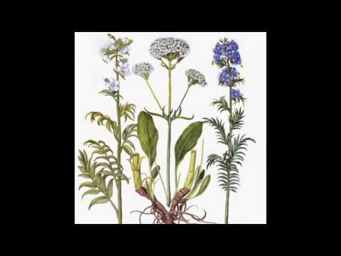 Unknown Mobile - Valerian (Edit)