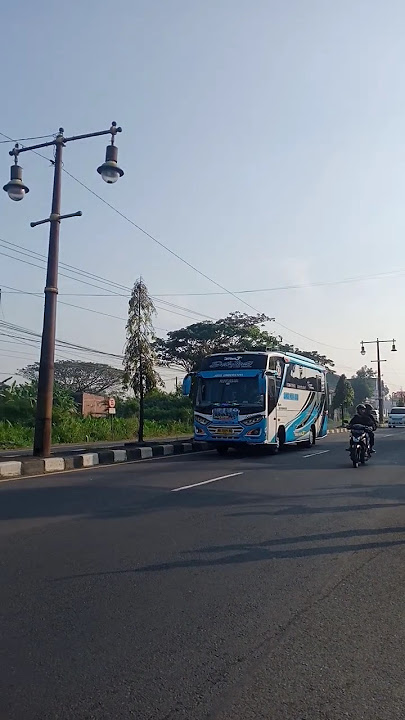 SUMBER MULYA ABADI BASURI BR BR PATAPIM #busmania