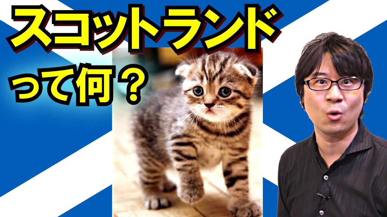 【スコットランド】ねことお酒と蛍の光！ 知られざる強国とイギリス統合の歴史【ウェールズ】(Scotland, Wales, Ireland and History of unification)