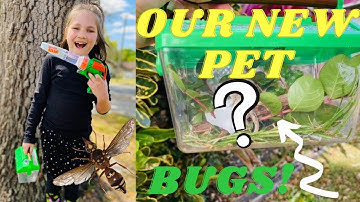 BUG HUNT with Alexis OUTDOORS | BUG CATCHING for KIDS