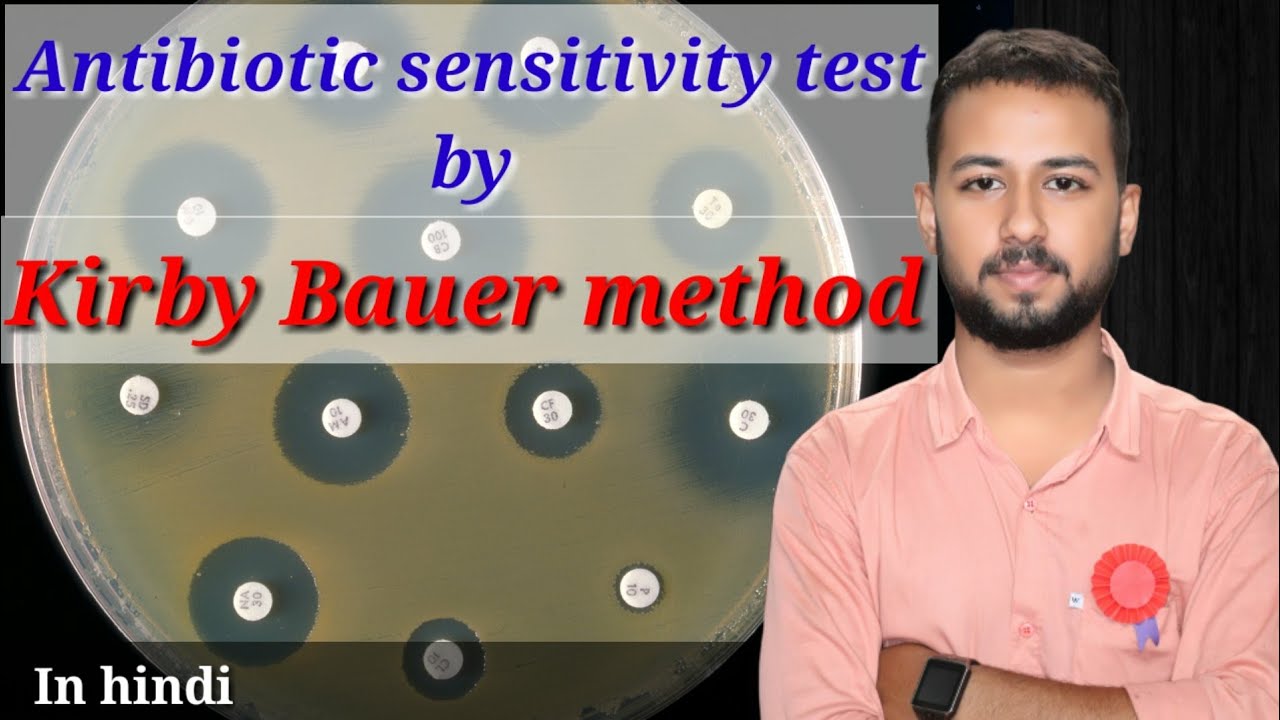 Antibiotic sensitivity test by disc diffusion method | kirby bauer disk ...