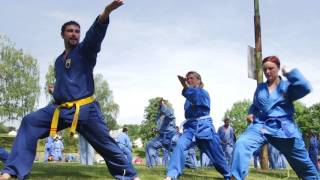 Föderation Vovinam Viet Vo Dao Deutschland 2017 (HQ)