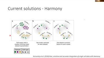 SCSAP  April 17, 2023 Featuring Nancy Zhang