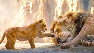 видео: Ол ӘЛСІЗ әрі КІШКЕНТАЙ, бірақ әкесінің өлімі үшін шиебөрілерден кек алуы керек.. картинка: Ол ӘЛСІЗ әрі КІШКЕНТАЙ, бірақ әкесінің өлімі үшін шиебөрілерден кек алуы керек..