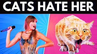 Why Cats Hate Taylor Swift