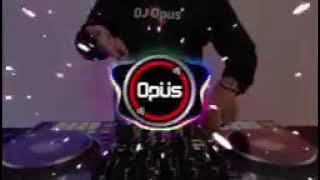 DJ IKAN DALAM KOLAM TIKTOK VIRAL 2023