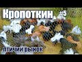 Птичий рынок. Кропоткин. Часть 5. [25.04.2021]