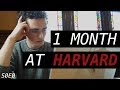 Vlogging a Month at Harvard