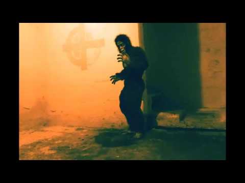 SASQUATCH BROTHERS/ Mr.Black / music video
