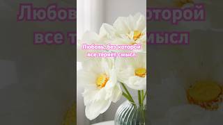 Библия о настоящей любви 💖 1 Коринфянам 13: Любовь, без которой всё теряет смысл #духовность #душа