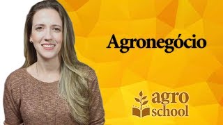 AgroSchool - Agronegócio