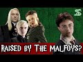 What If Harry Potter Was Raised By The Malfoys?