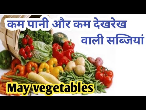 वीडियो: मैं अपने पानी में कौन से फल और सब्जियां मिला सकता हूं?