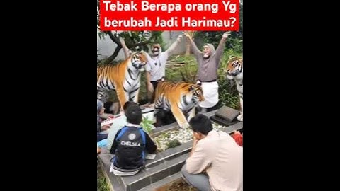 Kerasukan Jin Manusia Harimau