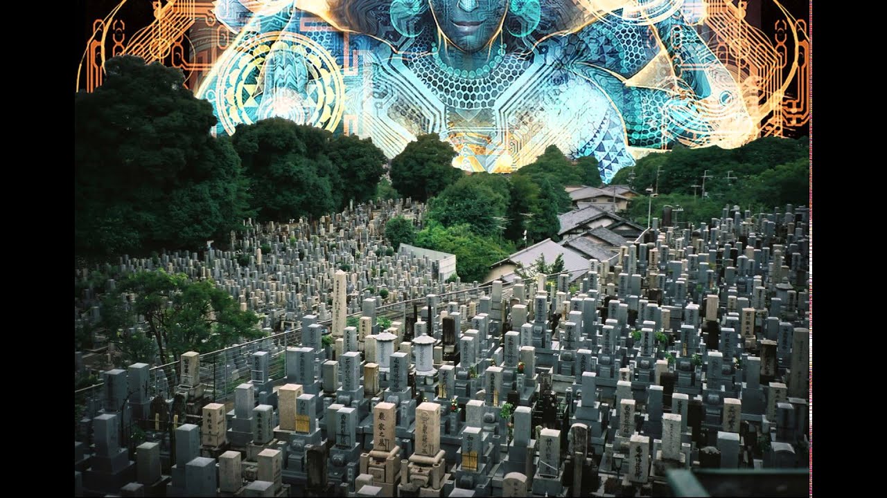 animal zen - one - YouTube