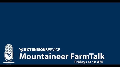 Black Walnuts with Brian Hammons of Hammons Black Walnuts