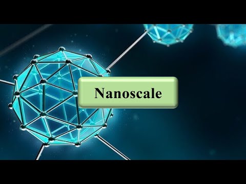 Видео: Дараах жишээнүүдийн аль нь нанометрийн масштабтай вэ?
