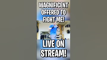 WAGNIFICENT VS BADBOY BEAMAN BOXING! #shorts