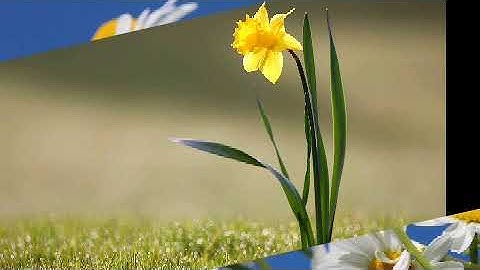 سورة الروم للشيخ خالد الجليل من ليالي رمضان..... جودة عالية