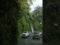 A rainy road to La Paz Waterfall