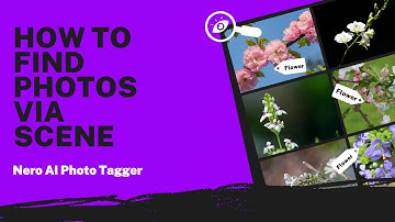 How to Find Photos via Scene | Nero AI Photo Tagger Tutorial