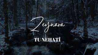 Zeynara - Tu Nehatî En Hüzünlü Kürtçe Şarkı Damar Modern Dengbêj